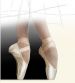 Жесткая балетная обувь (пуанты) модель В (bonbe)